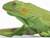 Safari® Mláďa leguána