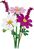 LEGO® Botanicals 11514 Kvety krasuľky
