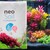 Neo Soil No CO2 3l