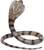 Safari® Cobra