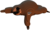 EUGY Lenochod 3D kartonová skládačka