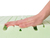 BABYMATEX Matrac Eco Green, 120x60x10
