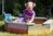 Woody Sandkasten 10310 bunt aus Holz