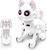 Lexibook Intelligente Roboterkatze Power Kitty