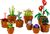 LEGO® Botanicals 10329 Miniatúrne rastliny