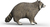 Schleich Raton Laveur