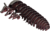 EUGY Pasavec 3D kartonasta sestavljanka