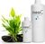 Neo C 300 ml