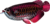EUGY Arowana azijska 3D kartonasta sestavljanka