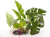 UP Aqua Kunststoff-Aquarienpflanze Anubias 1215