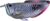 EUGY Arowana srebrna 3D kartonska sestavljanka