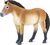 Safari® Kôň Przewalského