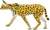 Safari® Serval
