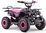 Benzínová štvorkolka pre deti Beneo Motors Explorer ružová - 50cm3