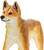 Safari® Dingo