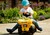 Rollytoys Odrážadlo CAT Dumper mini trac