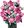 LEGO® Botanicals 10374 Kytica ružových ruží