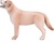 Mojo Labrador