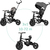 QPLAY Dreirad Rito Star Black, klappbar, Alter 10-72 Monate