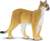 Safari® Puma floridská