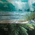 WW Trilogy Kerze Mittel Driftwood Shores
