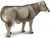 Safari® Krava Brown Swiss