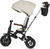 QPLAY Triciclo Nova Deluxe 5 in 1 Beige, 10-72 mesi