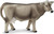 Safari® Krava Brown Swiss