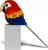 EUGY Papoušek 3D kartonová skládačka