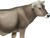 Safari® Krava Brown Swiss
