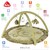 3D aktivity deka chameleon, Crazy