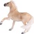 Mojo Kôň Brumby Mare