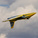 E-flite Habu XS eXtra Sport 1.1m 80mm EDF AS3X+ SAFE Select BNF Basic