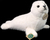 Foca di peluche 30 cm ECO-FRIENDLY