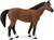 Safari® Quarter horse valach kôň