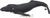 Safari® Veleryba Humpback