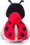 Lienka Dotty, 31cm