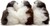 INKARI Плюшена играчка Алпака Мини лимитирана серия Marble Fox 15см