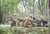 Mode Kit figurky 96460 - Pak 97/38 AT Gun with Crew (1:35)