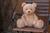 STEIFF Friends Jimmy Teddy bear, light brown plyšová hračka