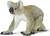 Safari® Koala