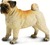 Safari® Câine Mops