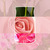 YC Signature Kerze Groß Fresh Cut Roses
