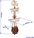 OCCRE Santísima Trinidad rez 1:90 kit