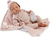 Antonio Juan 33022 LUNA – bambola realistica dormiente con corpo in tessuto morbido – 42 cm