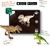 Safari® Tyrannosaurus Rex dinosaurus Dino Dana