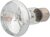 Žiarovka Repti Planet Daylight Basking Spot 25W