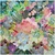 Galison Puzzle Mozaika zo sukulentov 500 dielikov