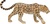 Mojo Leopard