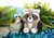 NICI Glubschis Schlüsselanhänger Teddybär Clooney 9cm